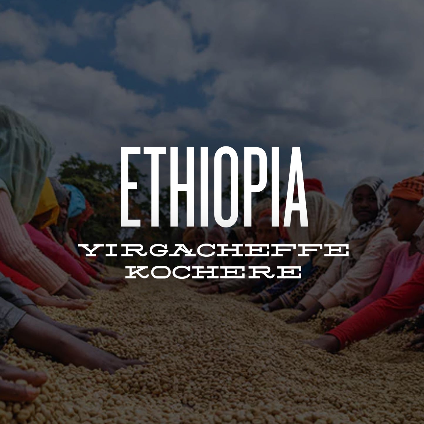 ETHIOPIA YIRGACHEFFE KOCHERE