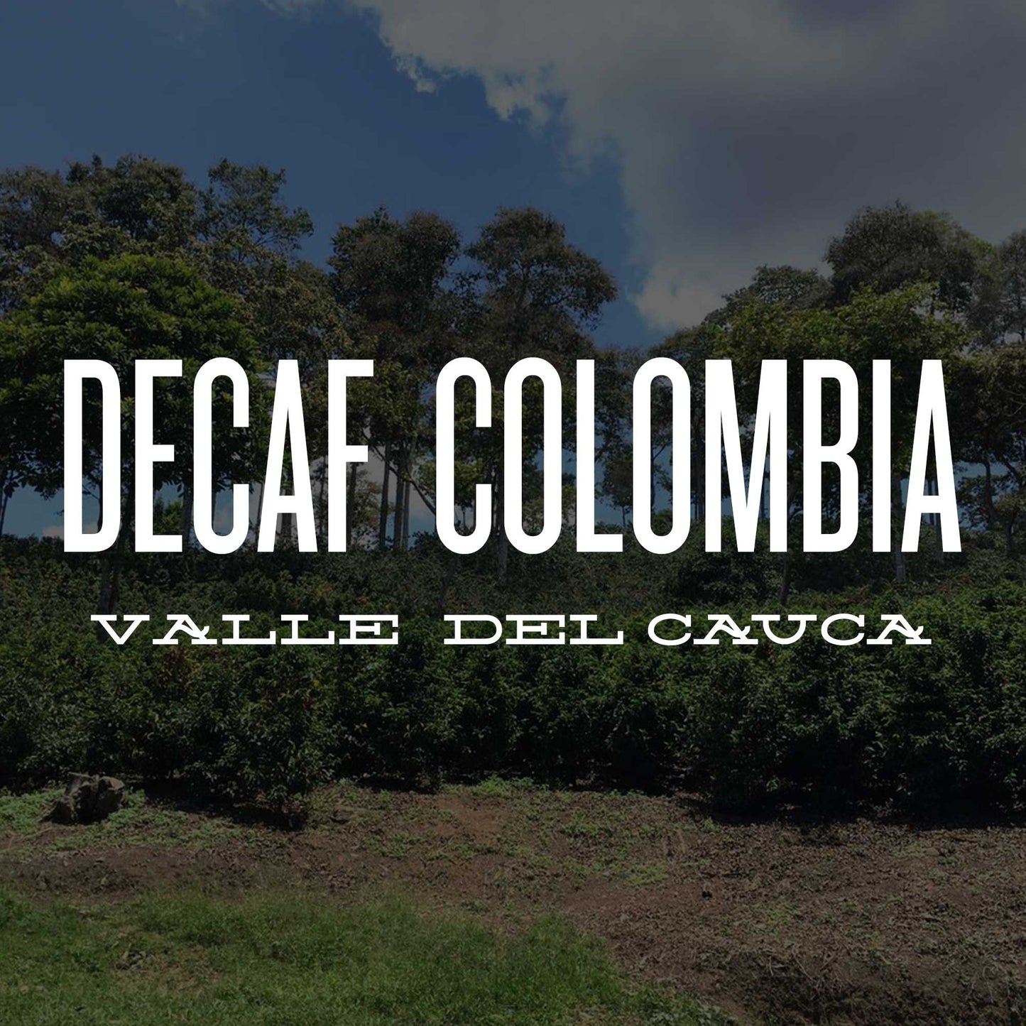 DECAF COLOMBIA VALLE DEL CAUCA