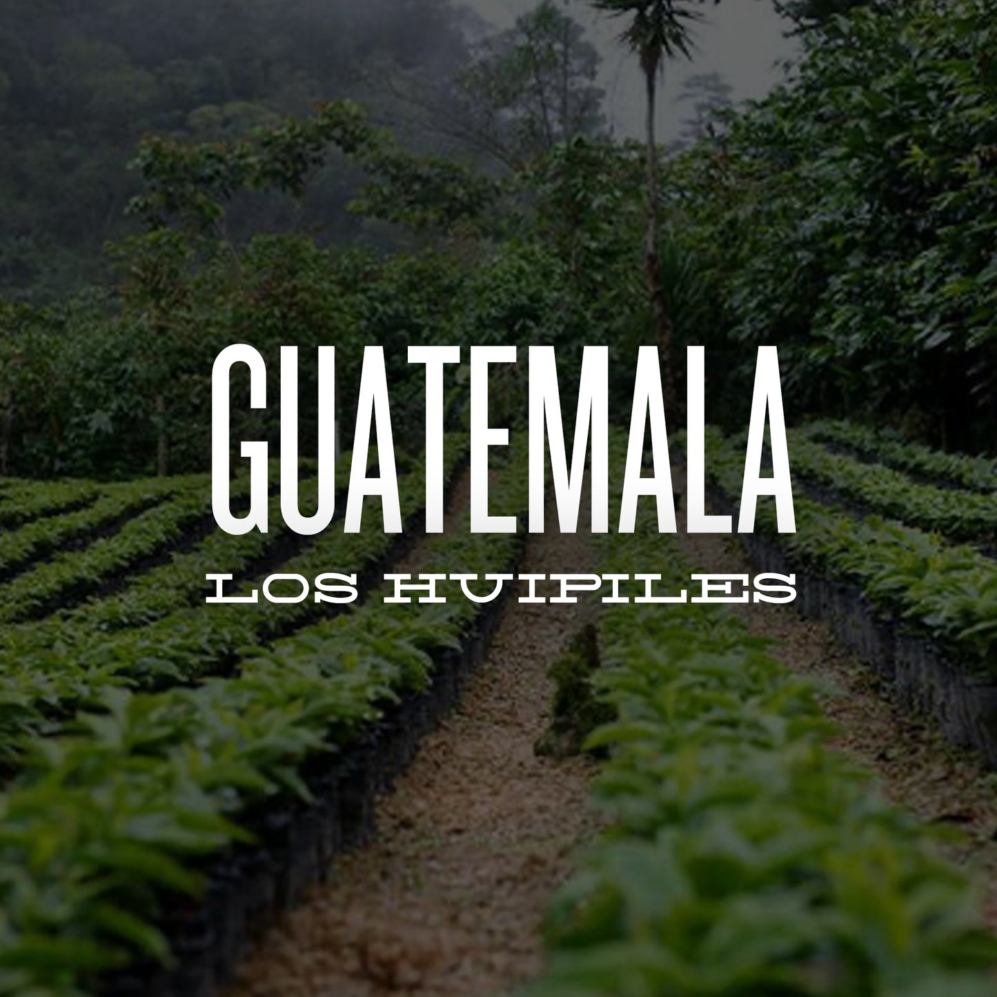 GUATEMALA LOS HUIPILES