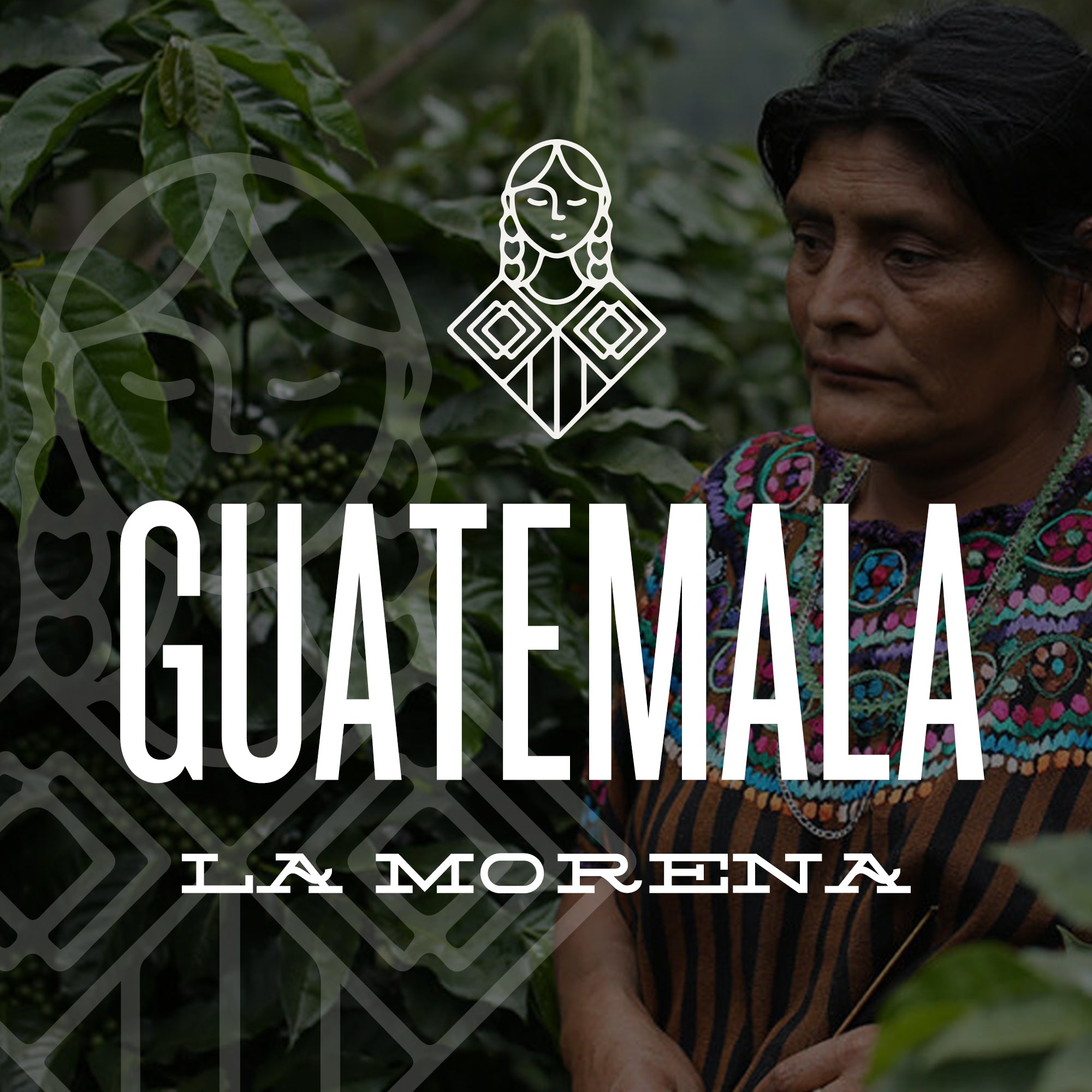 GUATEMALA LA MORENA