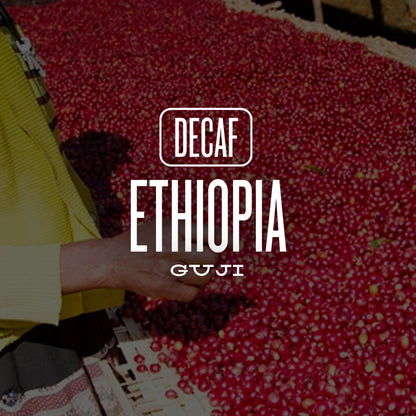 DECAF ETHIOPIA GUJI - SWISS WATER PROCESS