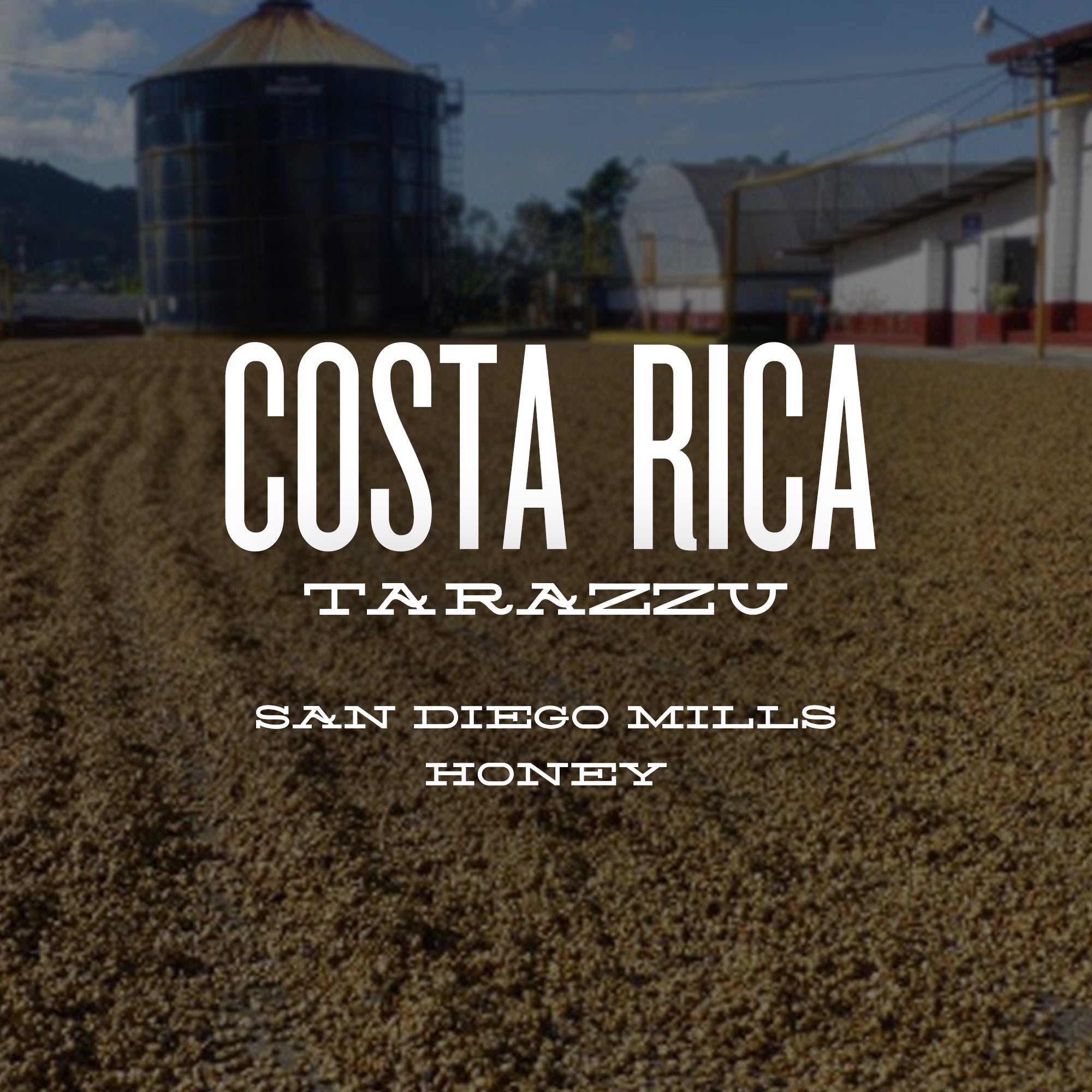 COSTA RICA TARRAZÚ - San Diego Mills Honey