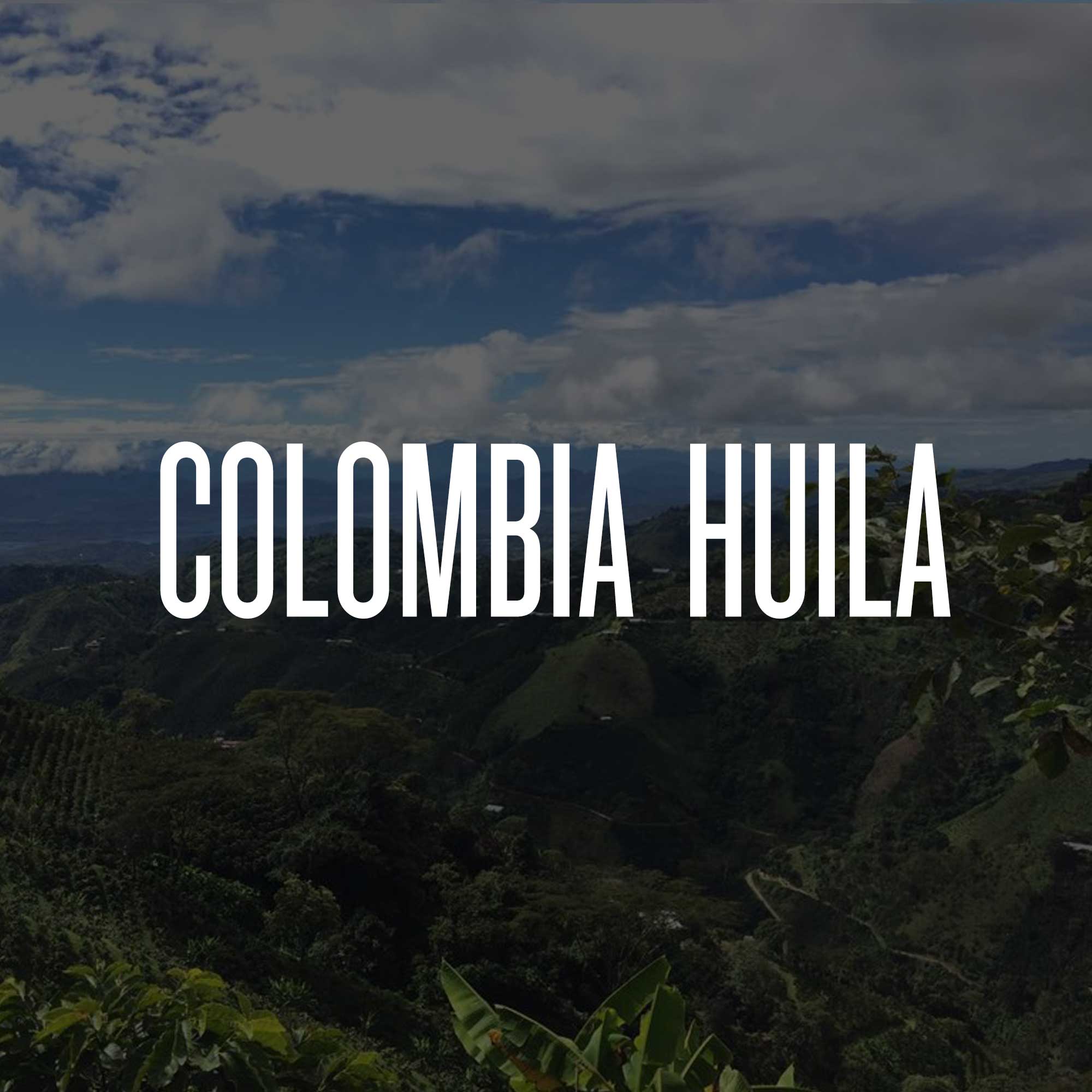 COLOMBIA HUILA EL TIPLE