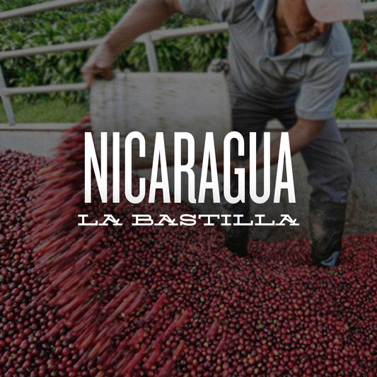 NICARAGUA - La Bastilla Centroamericano